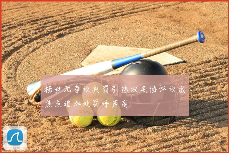 杨世元争议判罚引热议足协评议成焦点追加处罚呼声高