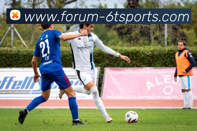 6T体育APP 封面图